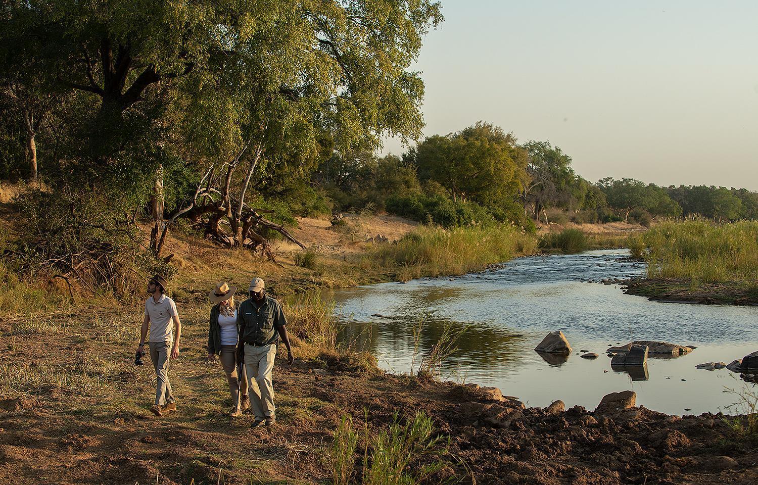 Pondoro Game Lodge Khu bảo tồn Khu bảo tồn Balule Game Reserve Ngoại thất bức ảnh